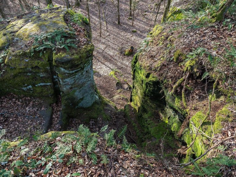 Teufelsstein: A High-Medieval Rock Castle in Germany