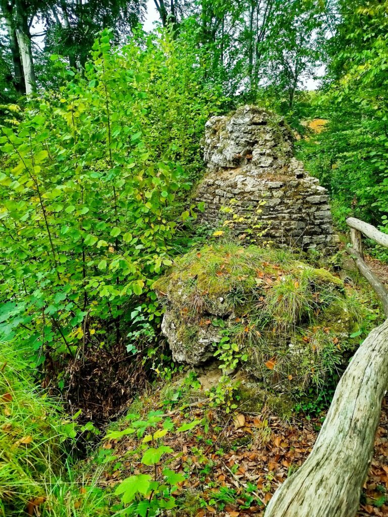 Burg Sachsenstein: A Castle Ruin near Bad Sachsa, Germany