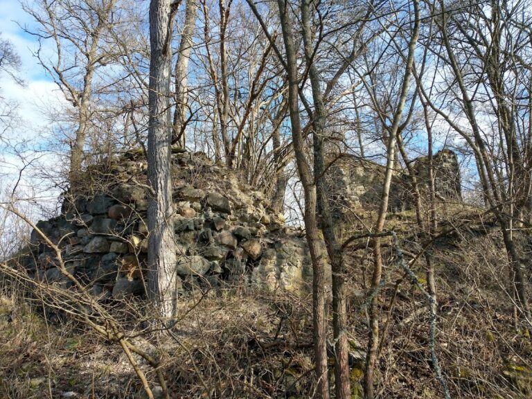 Heinrichsburg: A Medieval Spur Castle in Germany
