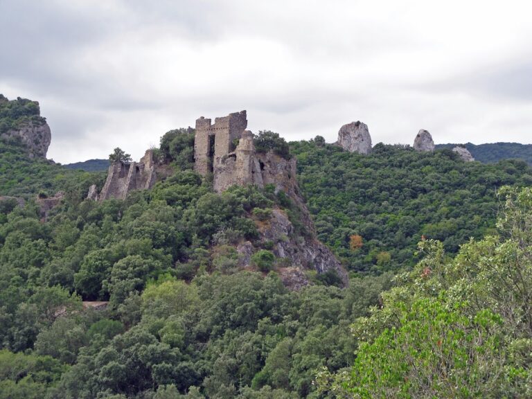 Château de Durfort: A Ruined Fortified Castle in France