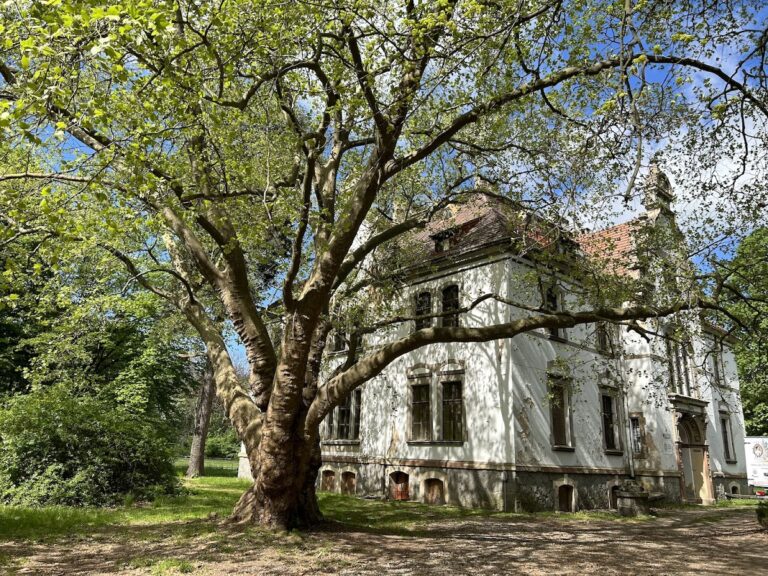 Palace in Targoszyn: An Eclectic Residence and Estate Complex