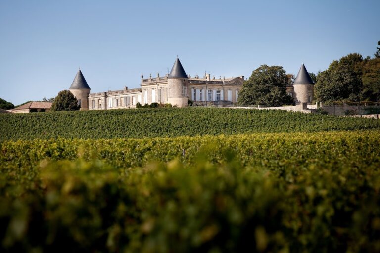 Château Saint Georges: A Historic Wine Estate in France