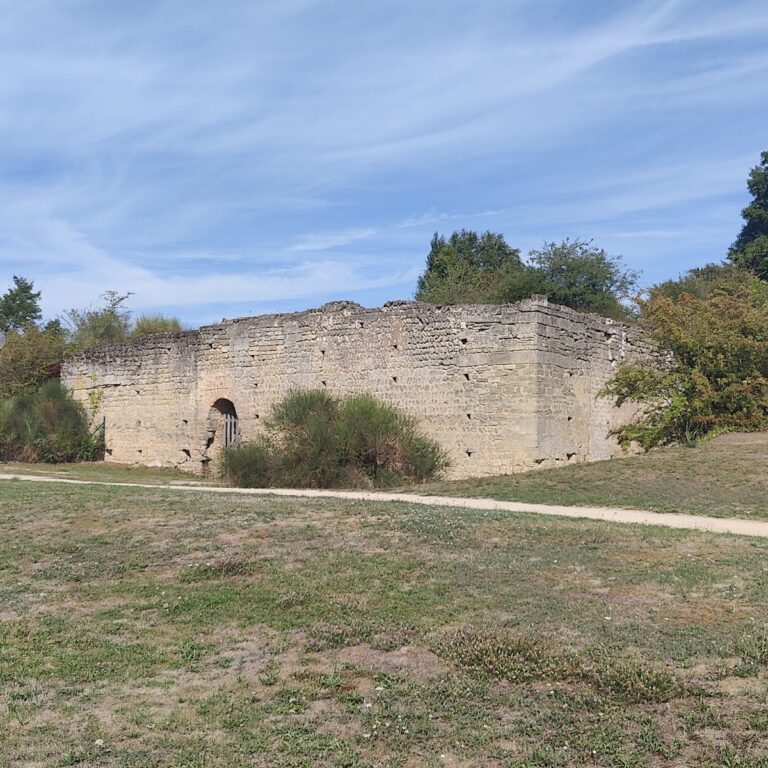 Motte castrale de Doué-la-Fontaine: A Carolingian Aula and Motte Castle