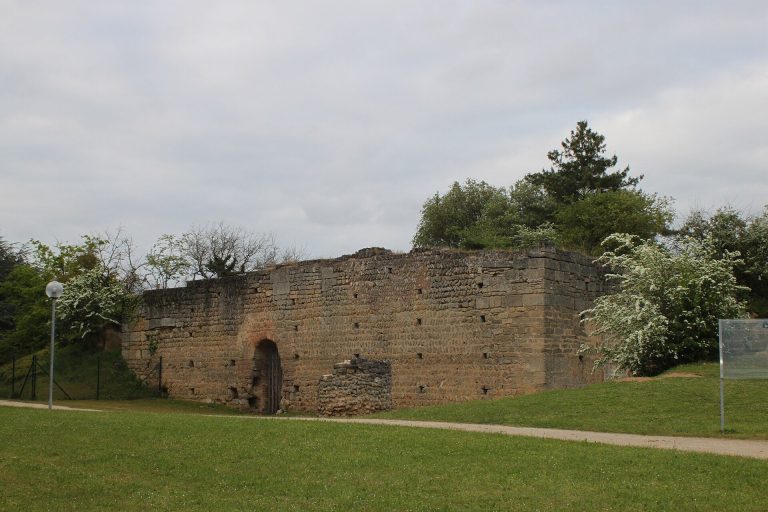 Motte castrale de Doué-la-Fontaine: A Carolingian Aula and Motte Castle