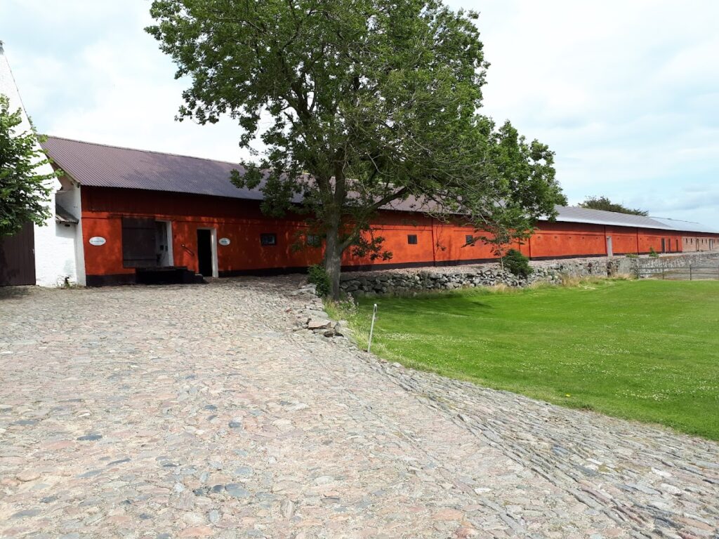 Børglum Abbey: A Medieval Premonstratensian Abbey and Episcopal Seat in Denmark 3 Børglum Abbey
