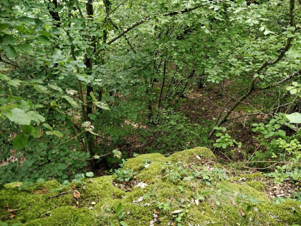 Burg Neukrenkingen