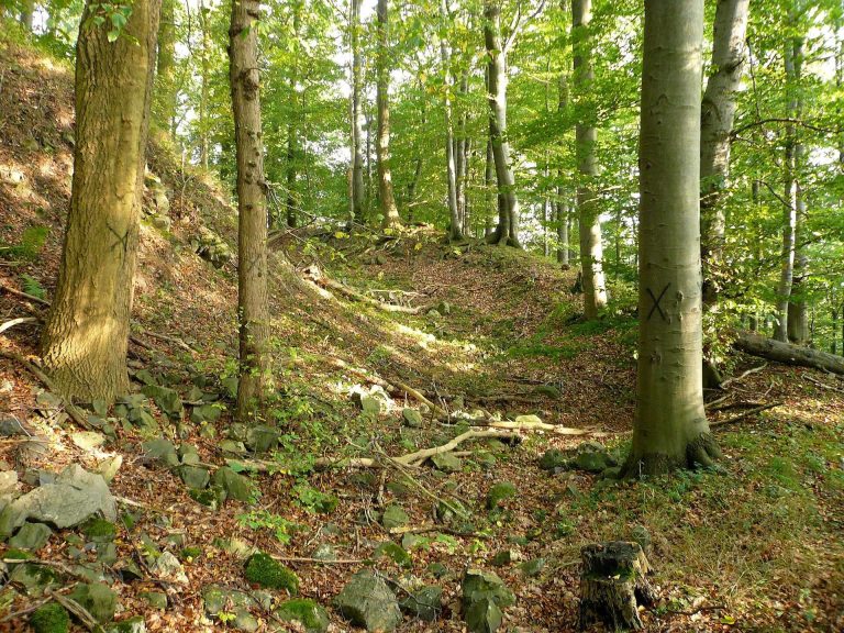 Brackenburg: A Medieval Hilltop Castle Ruin in Germany