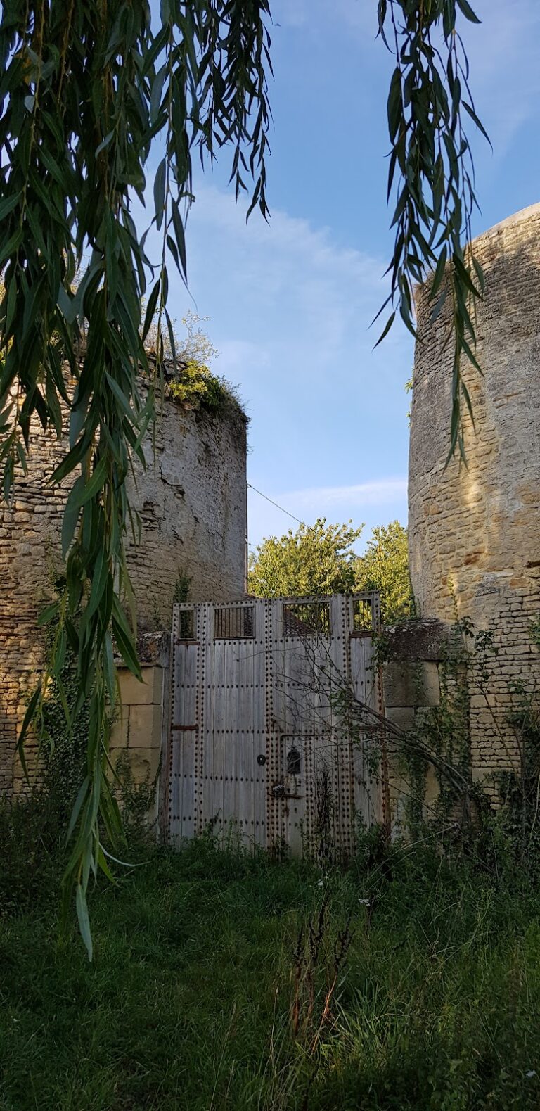 Courcy Castle: A Medieval Fortress in France