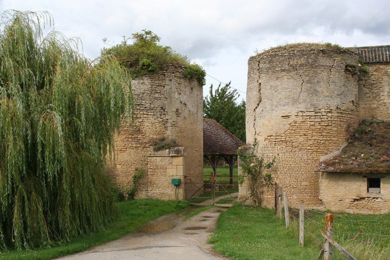 Courcy Castle: A Medieval Fortress in France
