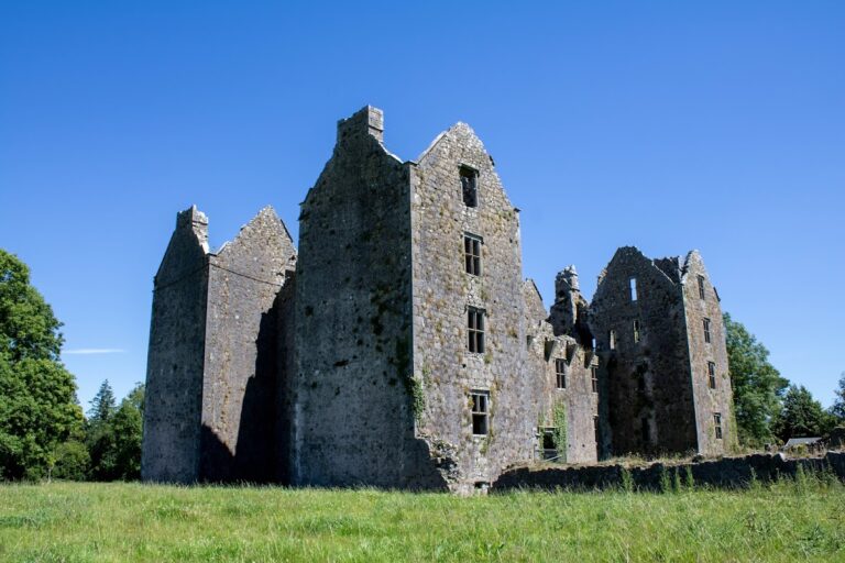 Burncourt Castle: A Seventeenth-Century Fortified House in Ireland