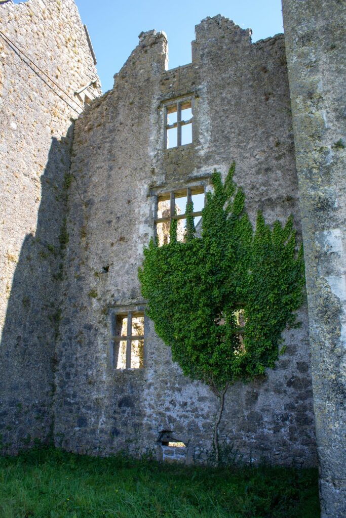 Burncourt Castle: A Seventeenth-Century Fortified House in Ireland 2 Burncourt Castle