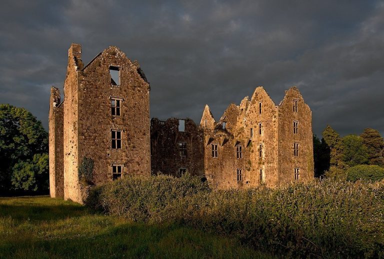 Burncourt Castle: A Seventeenth-Century Fortified House in Ireland