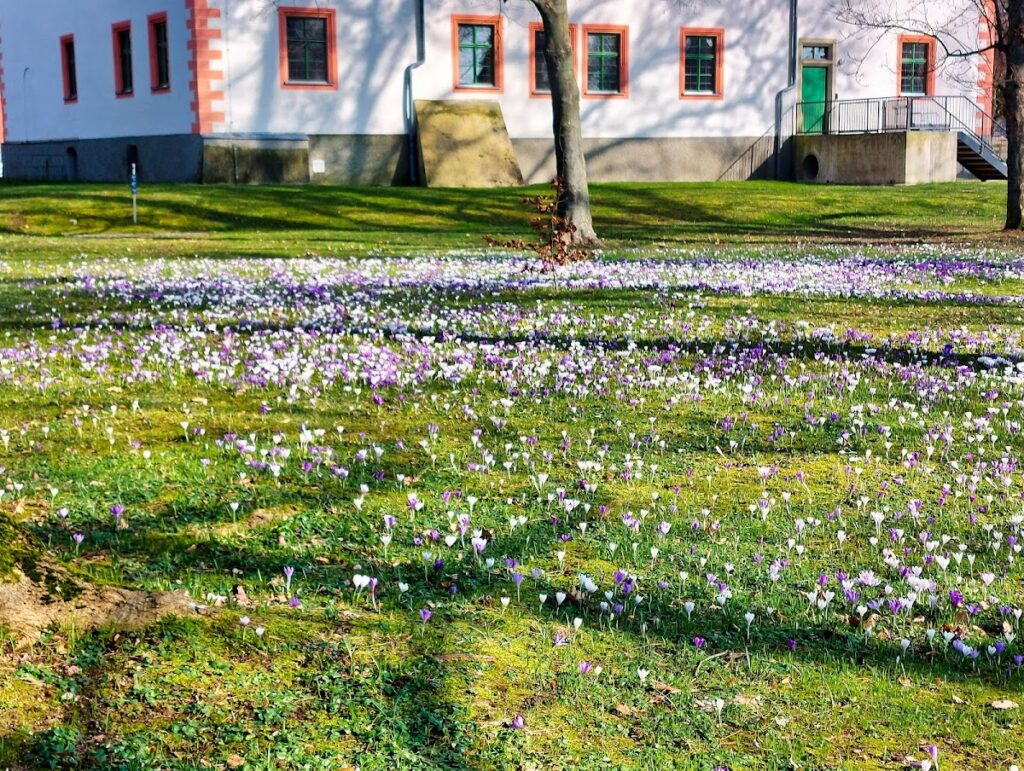 Schloss Ponitz: A Renaissance Manor Castle in Germany 3 Schloss Ponitz