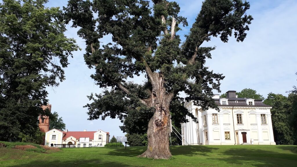 Paežeriai Manor: A Classical Revival Estate in Lithuania 4 Paežeriai Manor