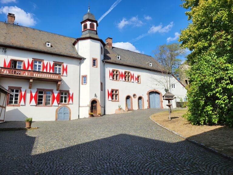 Neuweilnau Castle: A medieval hilltop seat and administrative centre in Weilrod, Germany