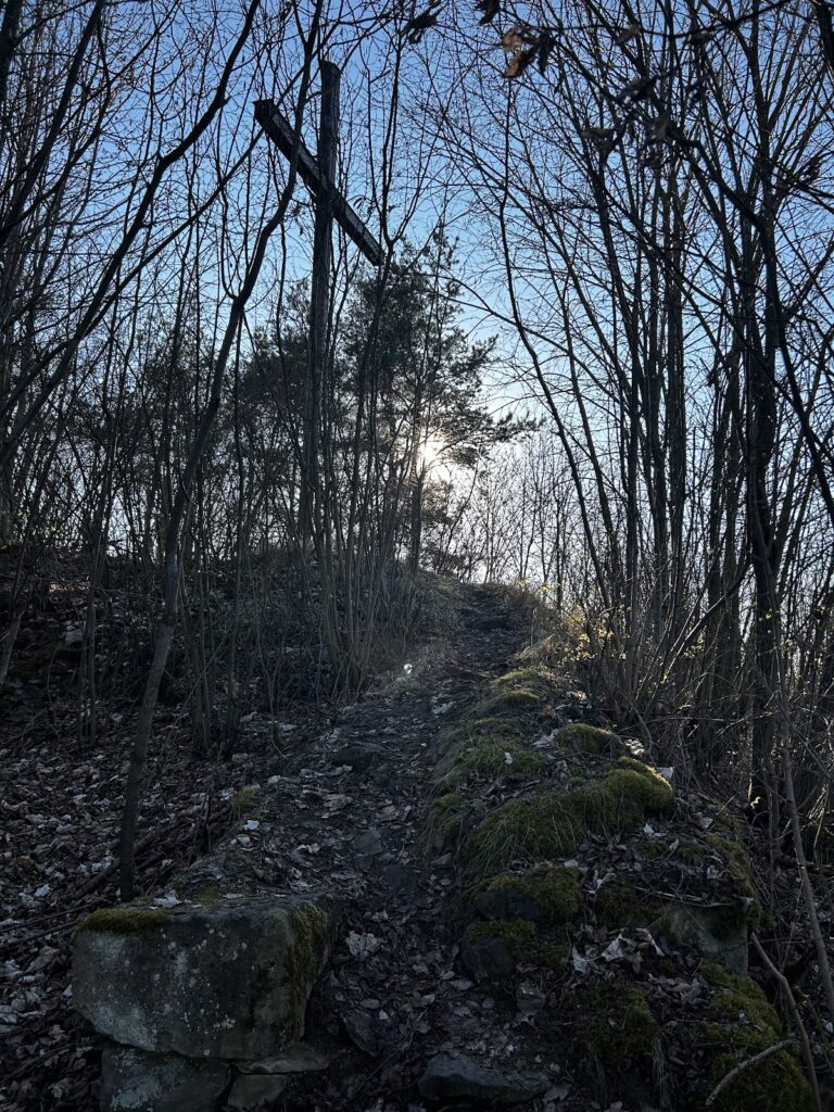 Nevděk