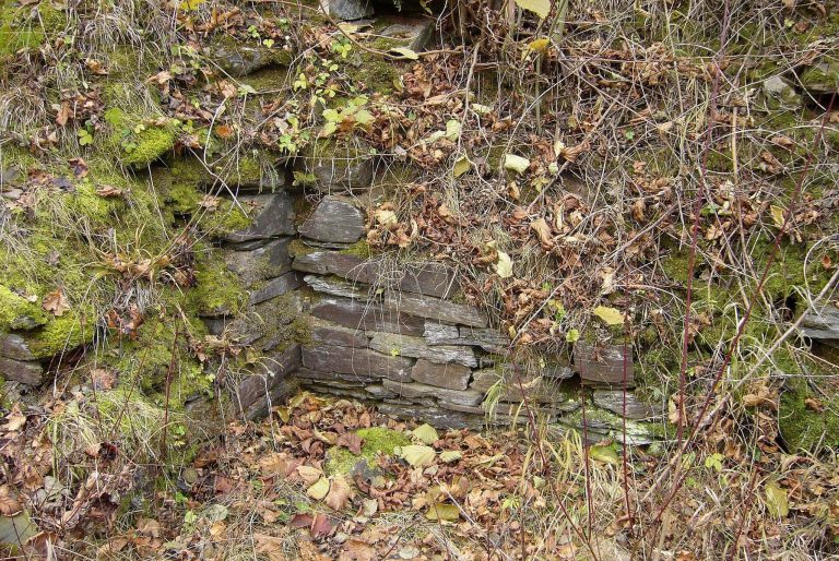 Nevděk: A Gothic Castle and Strongpoint in Czechia