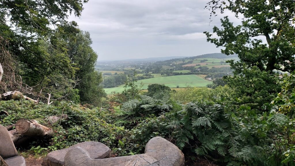 Killerton: An Acland Country Estate in Devon 2 Killerton