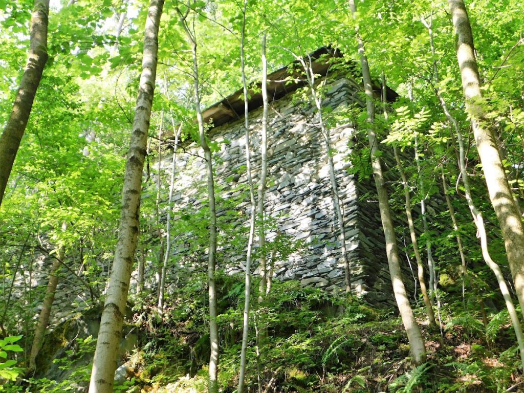 Štěpanice Castle: A Gothic Castle Ruin in Czechia 1 Štěpanice Castle