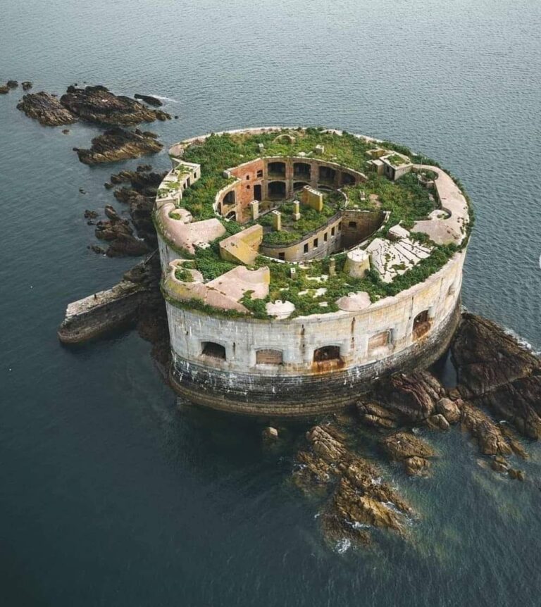 Stack Rock Fort: A Victorian Sea Fort Defending Milford Haven