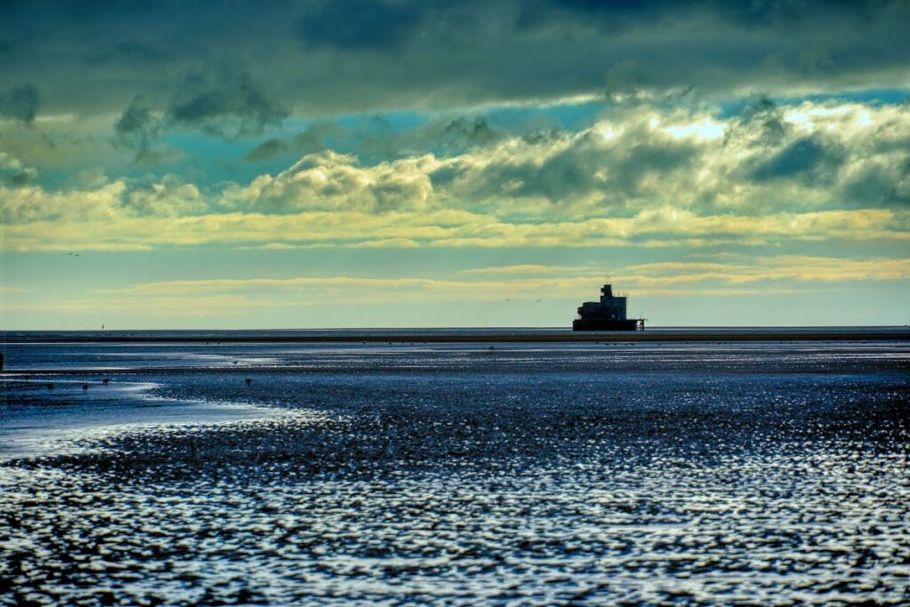 Humber Forts: First and Second World War Defences of the Humber Estuary 2 Humber Forts