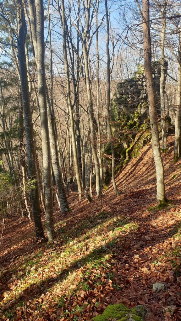 Ruine Ringelstein: The Remains of a Medieval Hilltop Castle in Germany 2 Ruine Ringelstein
