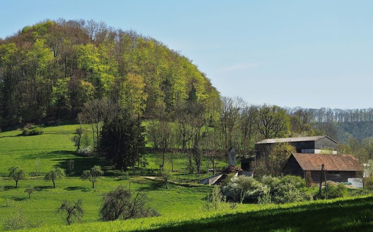 Burg Scharfenberg: A Medieval Summit Castle in Germany