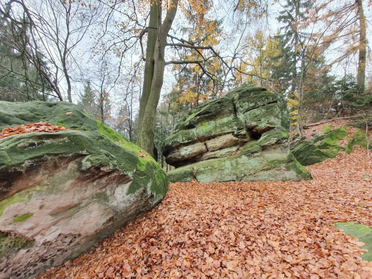 Kukesburg: A Former Refuge Hillfort near Springe, Germany