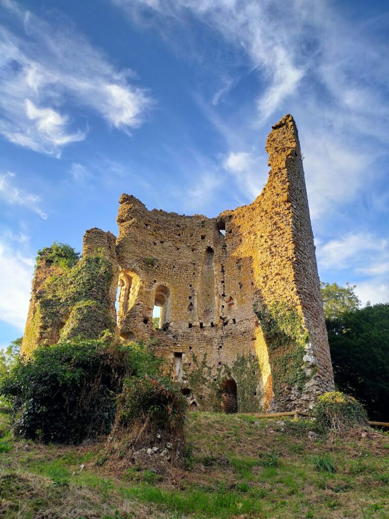 Château de Fréteval: A Medieval Frontier Fortress 2 Château de Fréteval