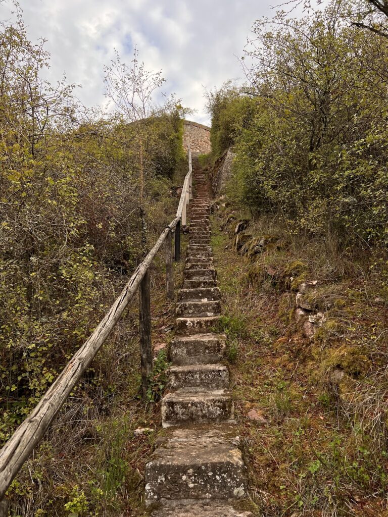 New Bolanden Castle: A Medieval Fortress and Dynastic Residence