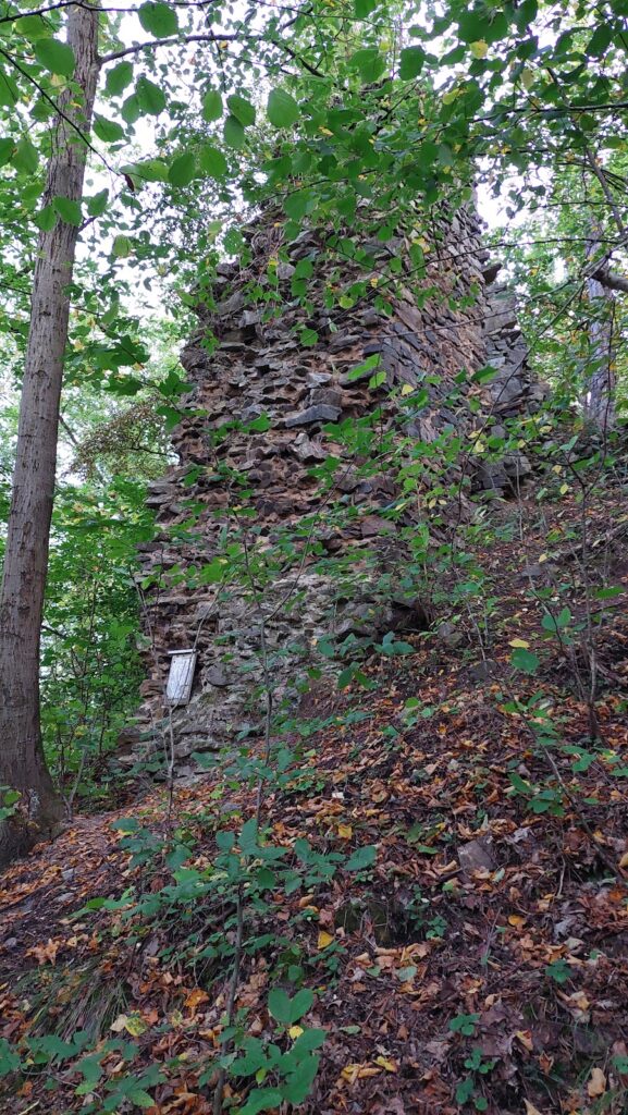 Kozí hřbet Castle: A Gothic Castle Ruin in Czechia 2 Kozí hřbet Castle
