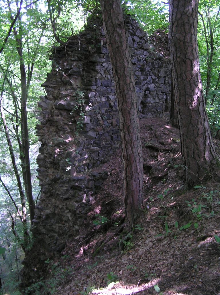 Kozí hřbet Castle: A Gothic Castle Ruin in Czechia