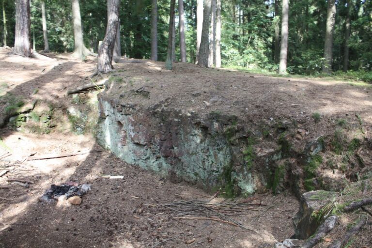 Vimberk: A Medieval Castle in Czechia