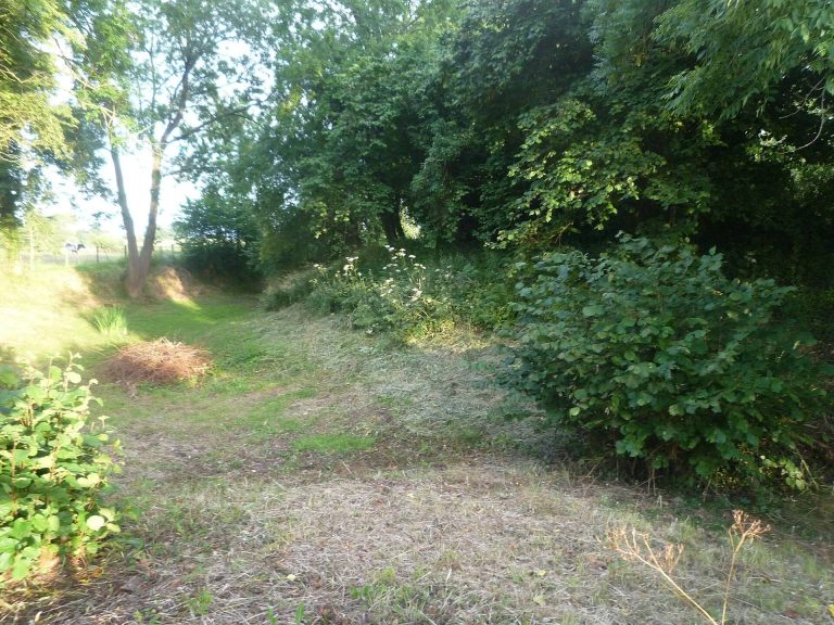 Pembridge Castle: A Medieval Border Fortification in England