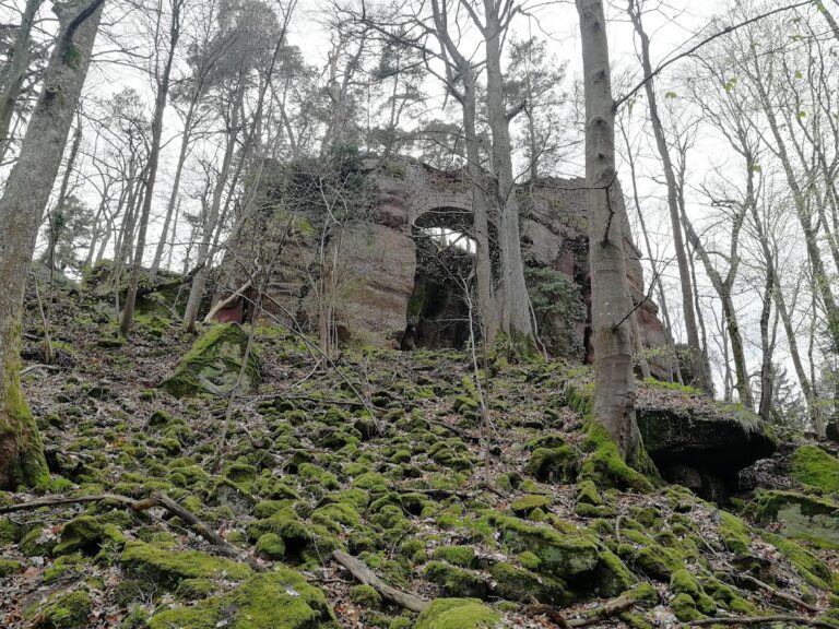 Château du Hagelschloss: A Ruined Medieval Hilltop Castle in France
