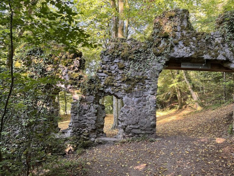 Wiesneck Castle: A Medieval Hilltop Castle in Germany