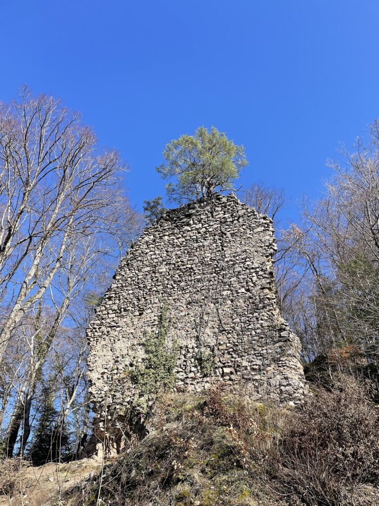 Wiesneck Castle: A Medieval Hilltop Castle in Germany 2 Wiesneck Castle