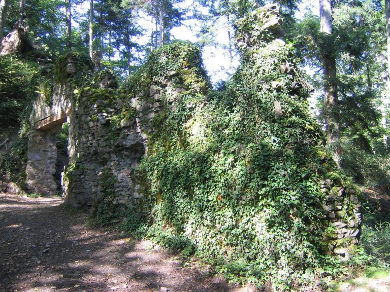 Wiesneck Castle: A Medieval Hilltop Castle in Germany