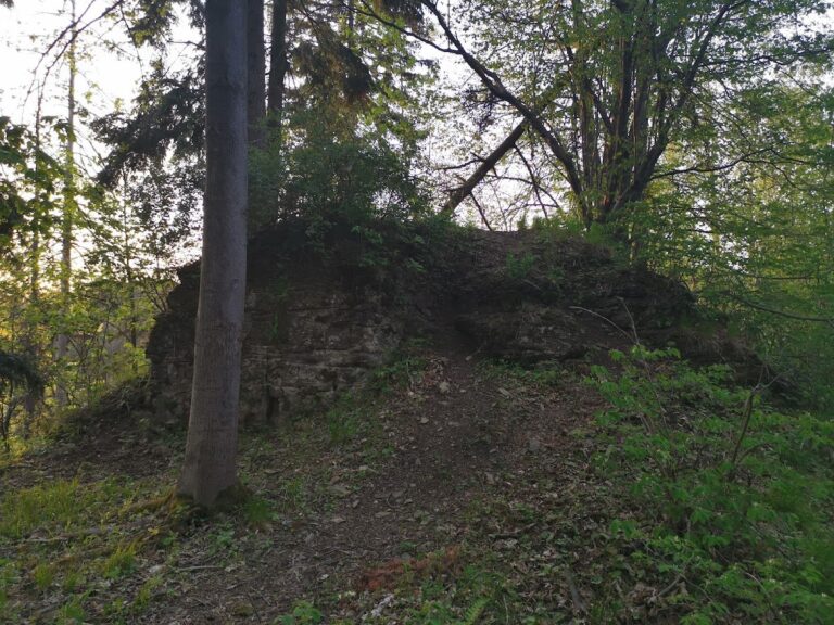 Vlčinec: A Short-Lived Gothic Castle in Czechia
