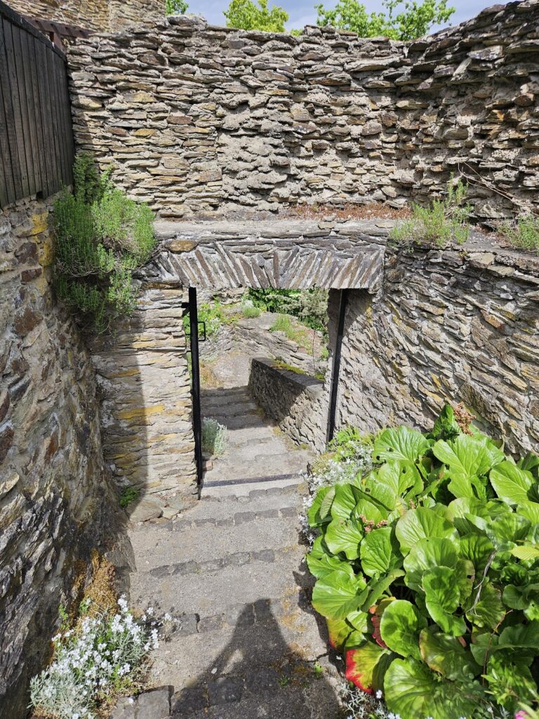 Burg Reichenstein (Westerwald): Seat of a Medieval Lordship in Germany 2 Burg Reichenstein (Westerwald)