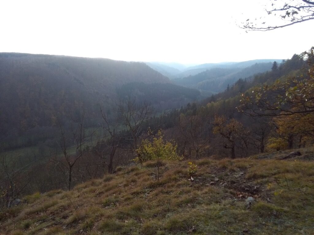 Ackeburg: A High-Medieval Hill Castle in Germany 2 Ackeburg