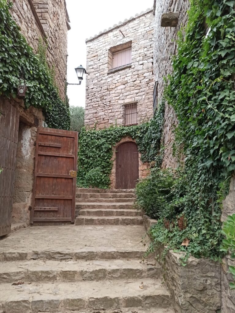 Castell de la Guàrdia Pilosa: An Eleventh-Century Fortified Site in Spain