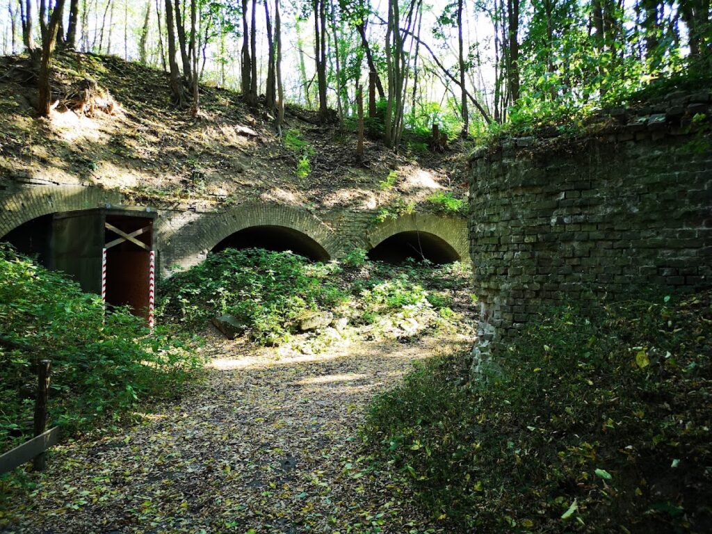 Fort Hahneberg