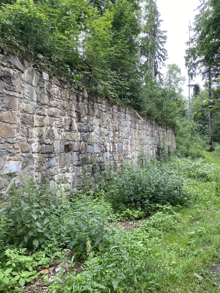 Burg Kogl: A Hilltop Castle Ruin in Austria