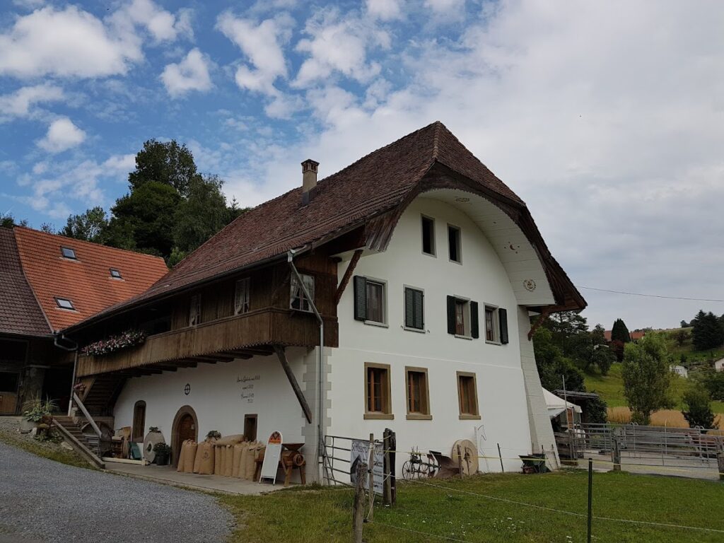 Alt Rued Ruins: A Medieval Tower Castle in Switzerland 2 Alt Rued ruins