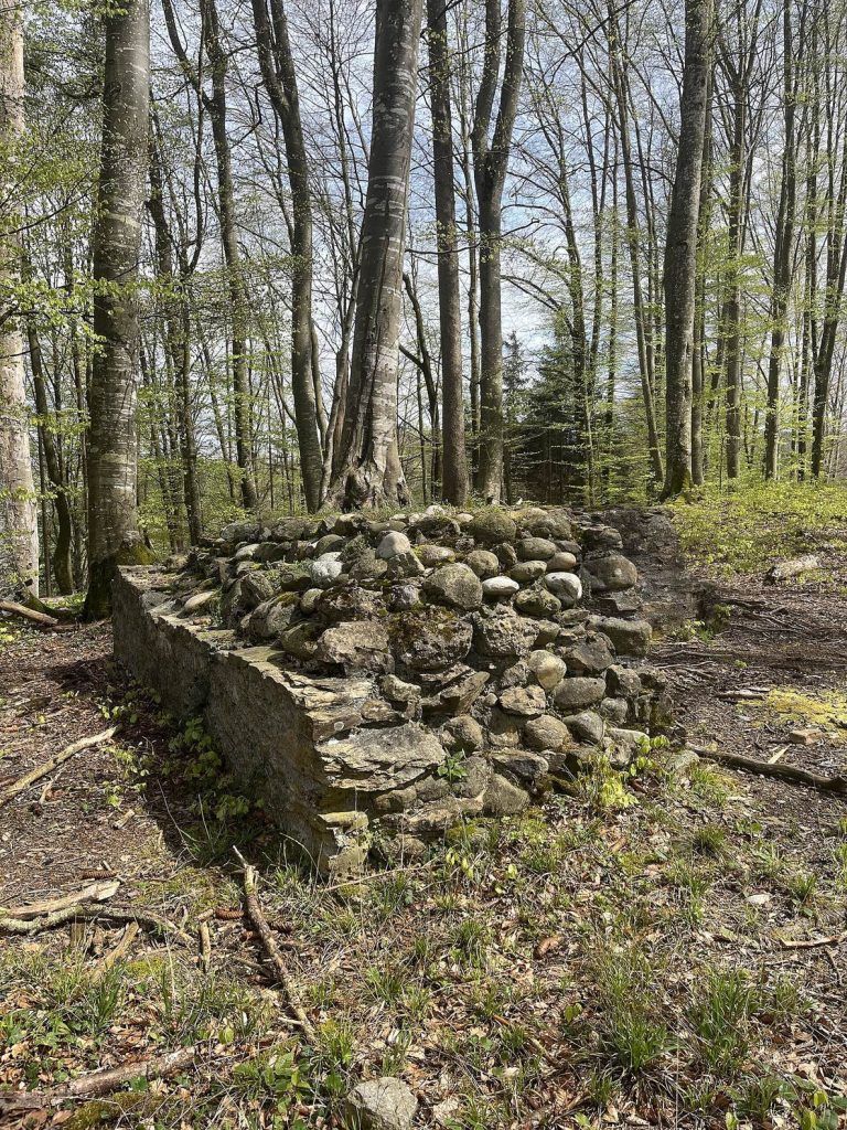 Alt Rued Ruins: A Medieval Tower Castle in Switzerland