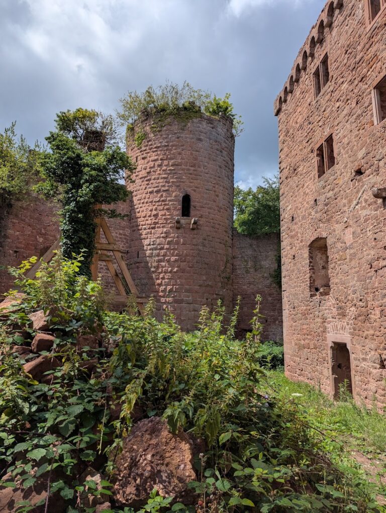 Château de Lutzelbourg: A Medieval Castle Ruin in France