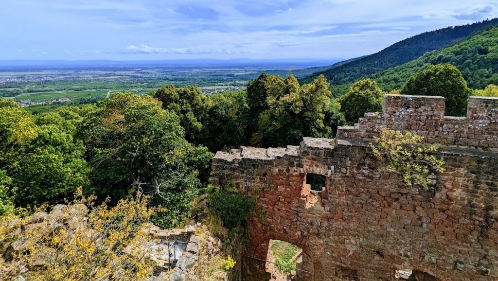 Château de Lutzelbourg: A Medieval Castle Ruin in France 2 Château de Lutzelbourg