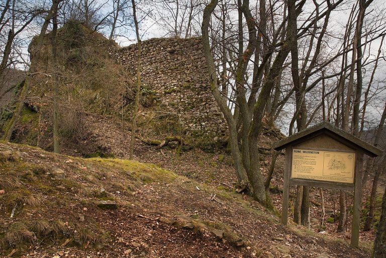 Wildenstein Castle (Palatinate): A Medieval Spur Castle in Germany