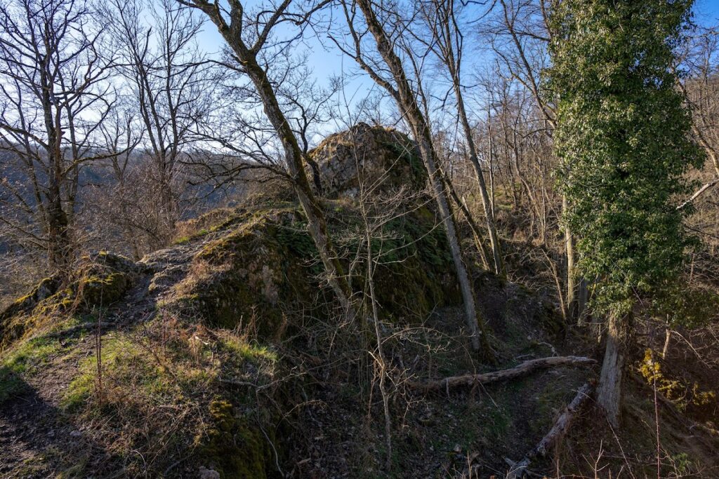 Wildenstein Castle (Palatinate): A Medieval Spur Castle in Germany 2 Wildenstein Castle (Palatinate)